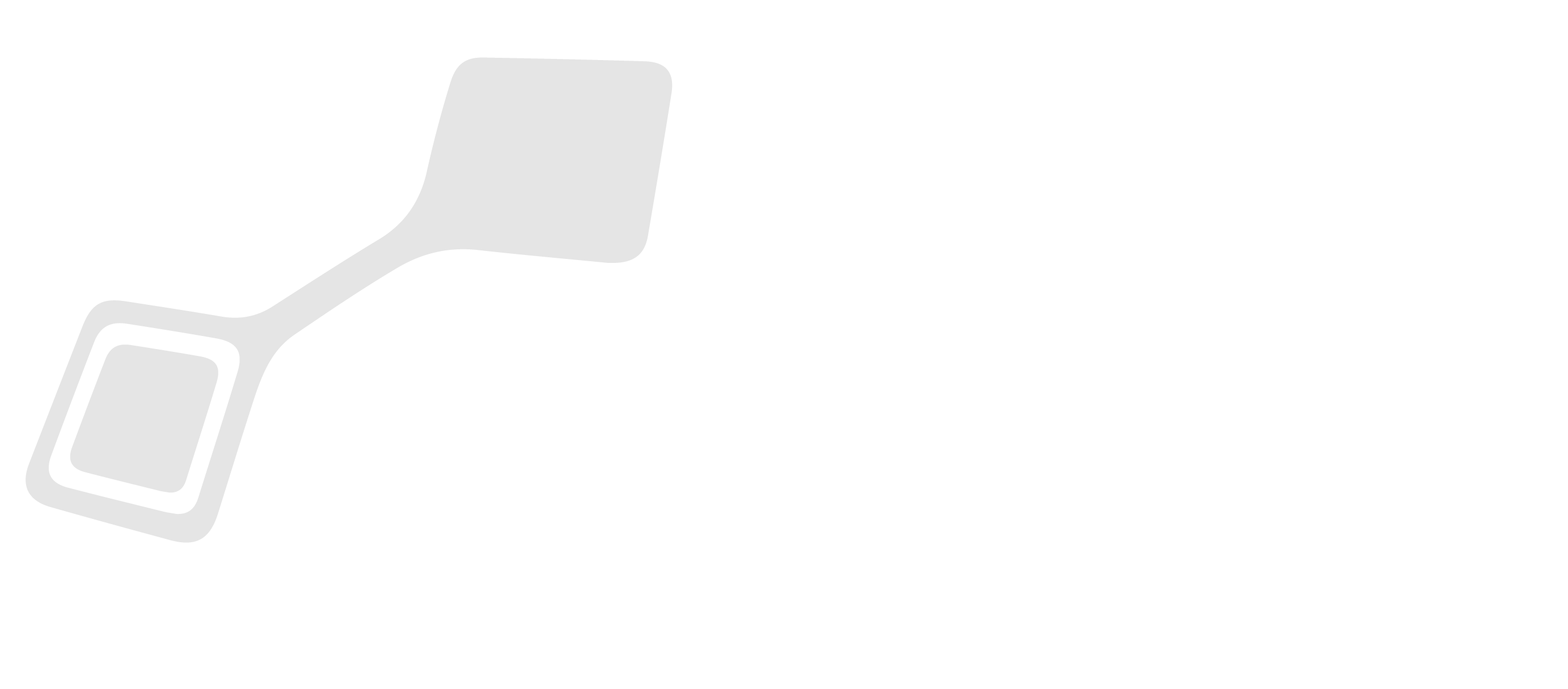 Zoom Connect